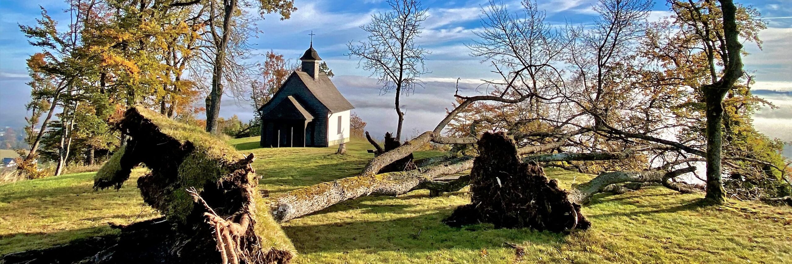 Herbst 2021 Ende Oktober