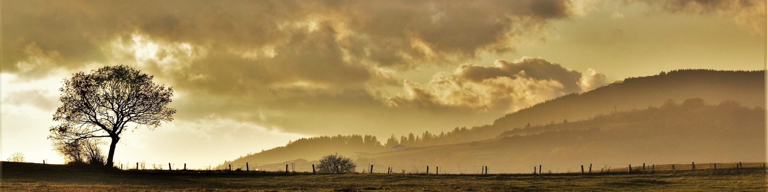 Herbst Auf der Wache bei Hallenberg