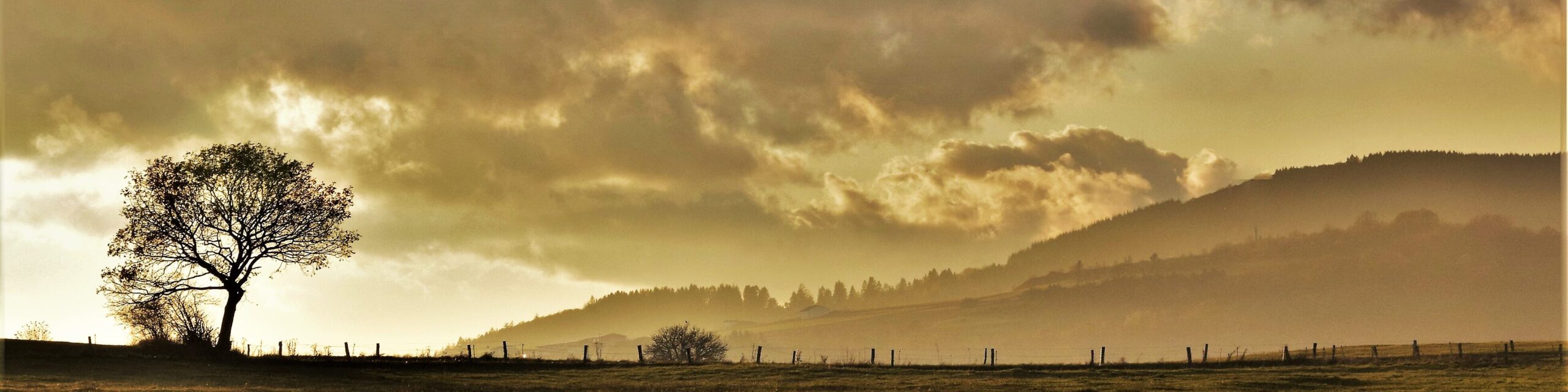 Herbst Auf der Wache bei Hallenberg